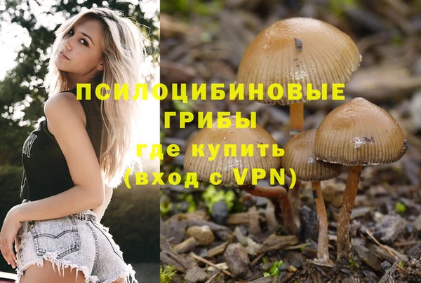 индика Алексеевка