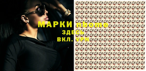 дмт Алексин