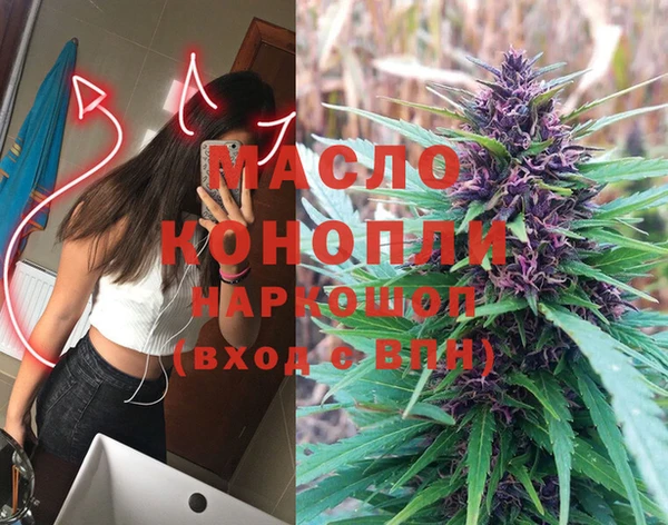 дмт Алексин
