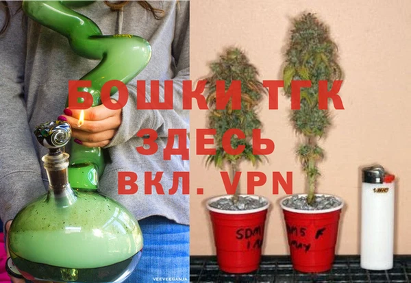 индика Алексеевка