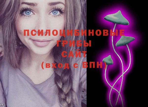 дмт Алексин