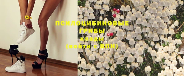 бошки Алзамай
