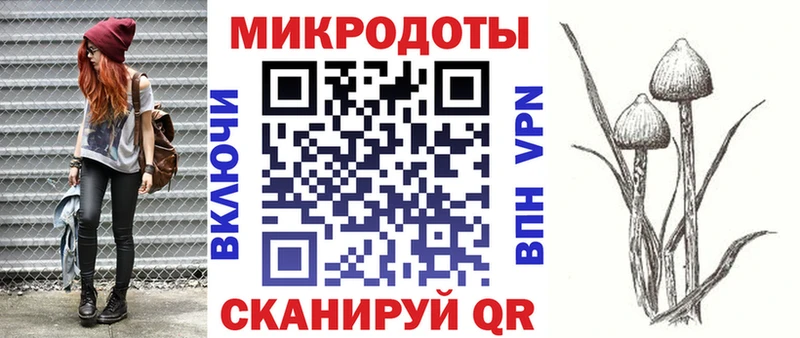 Галлюциногенные грибы Psilocybine cubensis Катав-Ивановск