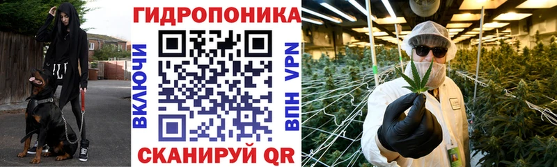 Бошки Шишки планчик  что такое наркотик  kraken tor  Катав-Ивановск 